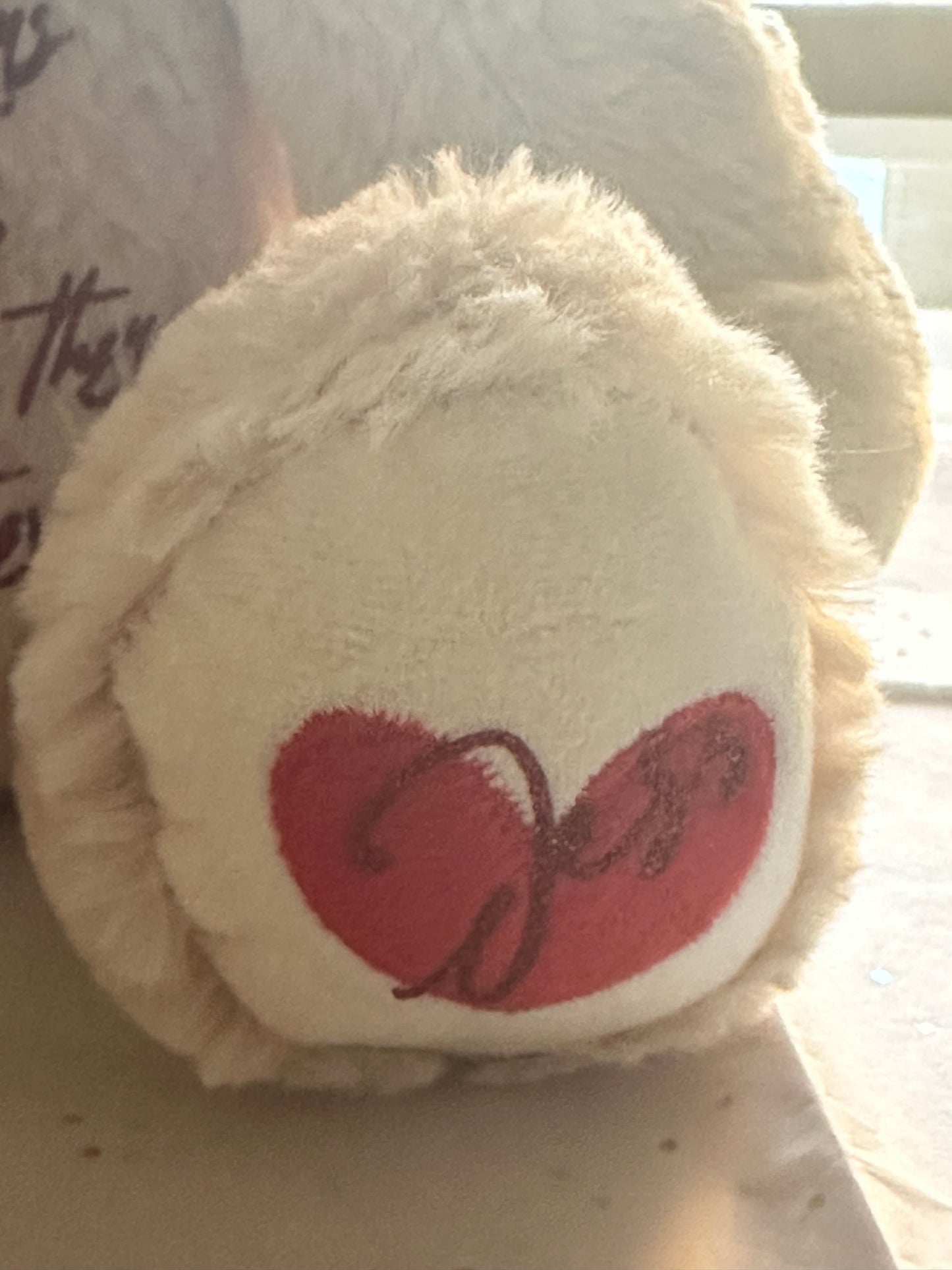 Valentine Teddy Bear