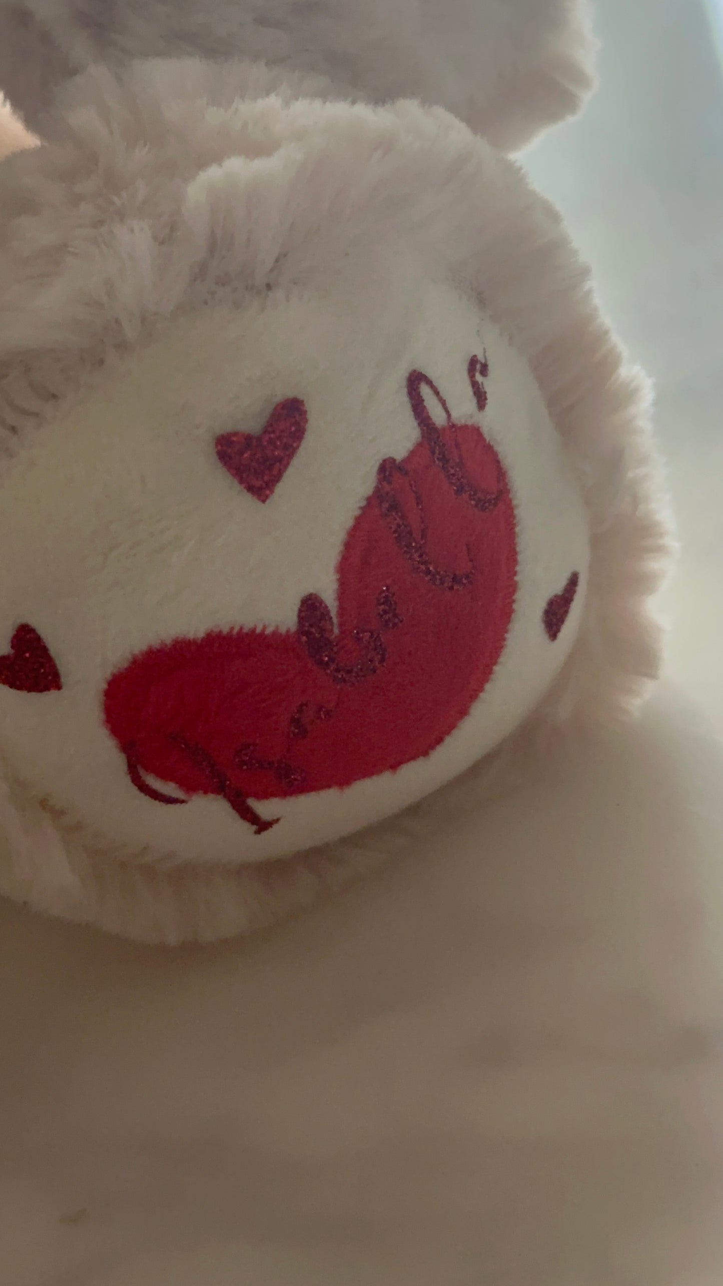 Valentine Teddy Bear