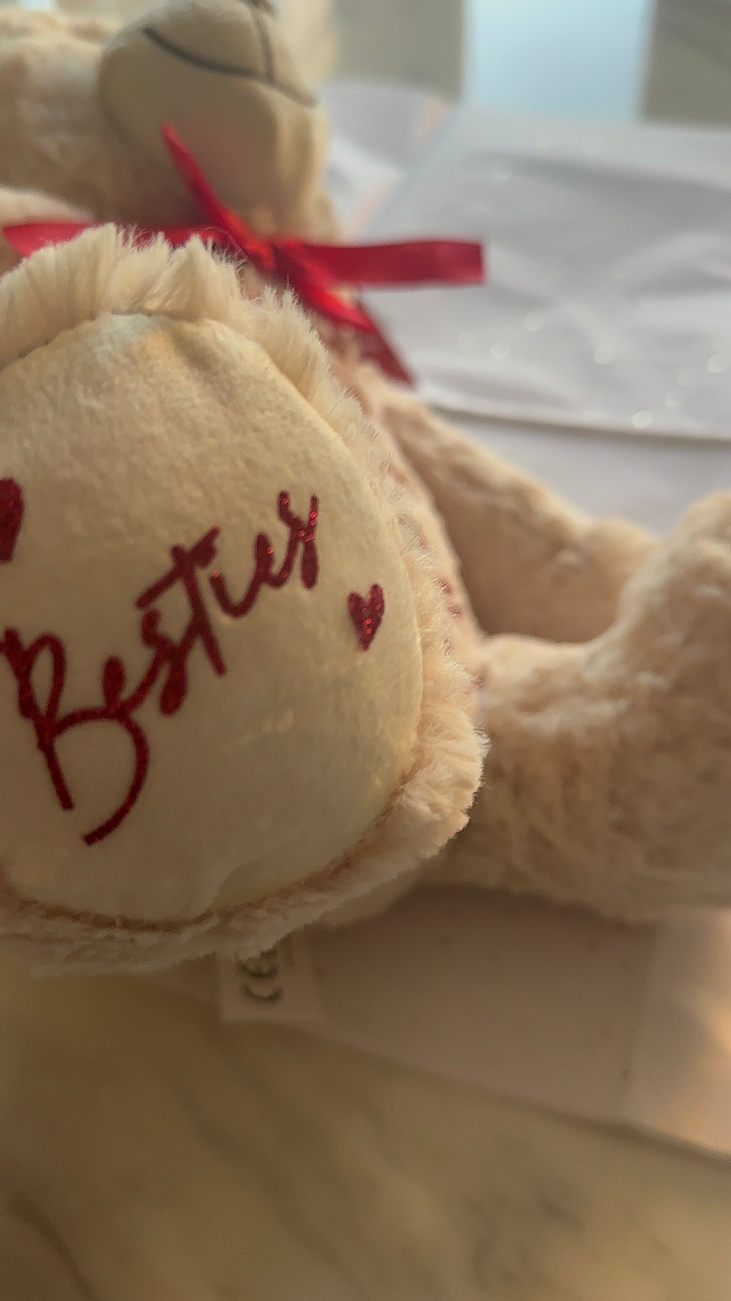 Valentine Teddy Bear