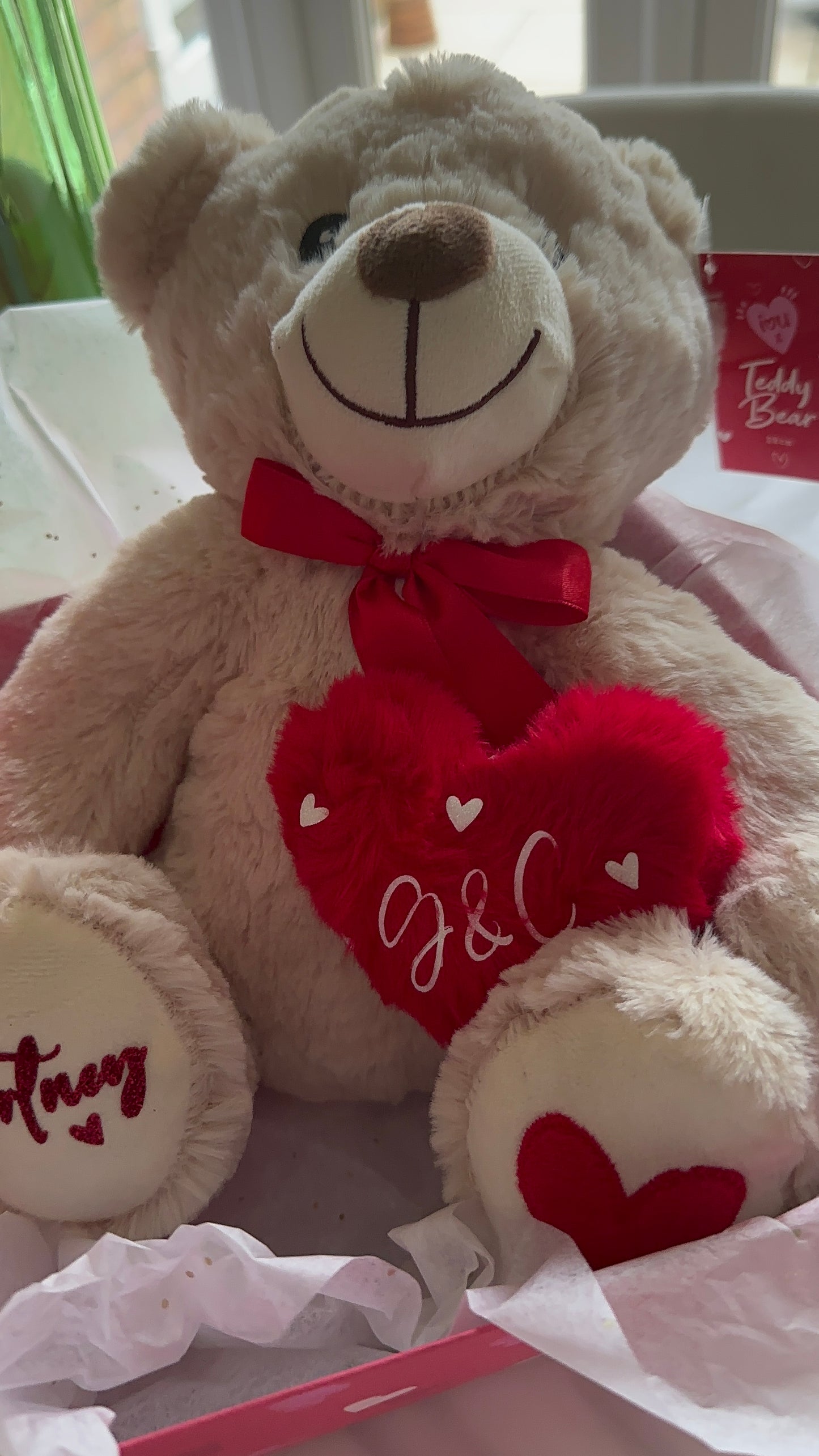Valentine Teddy Bear