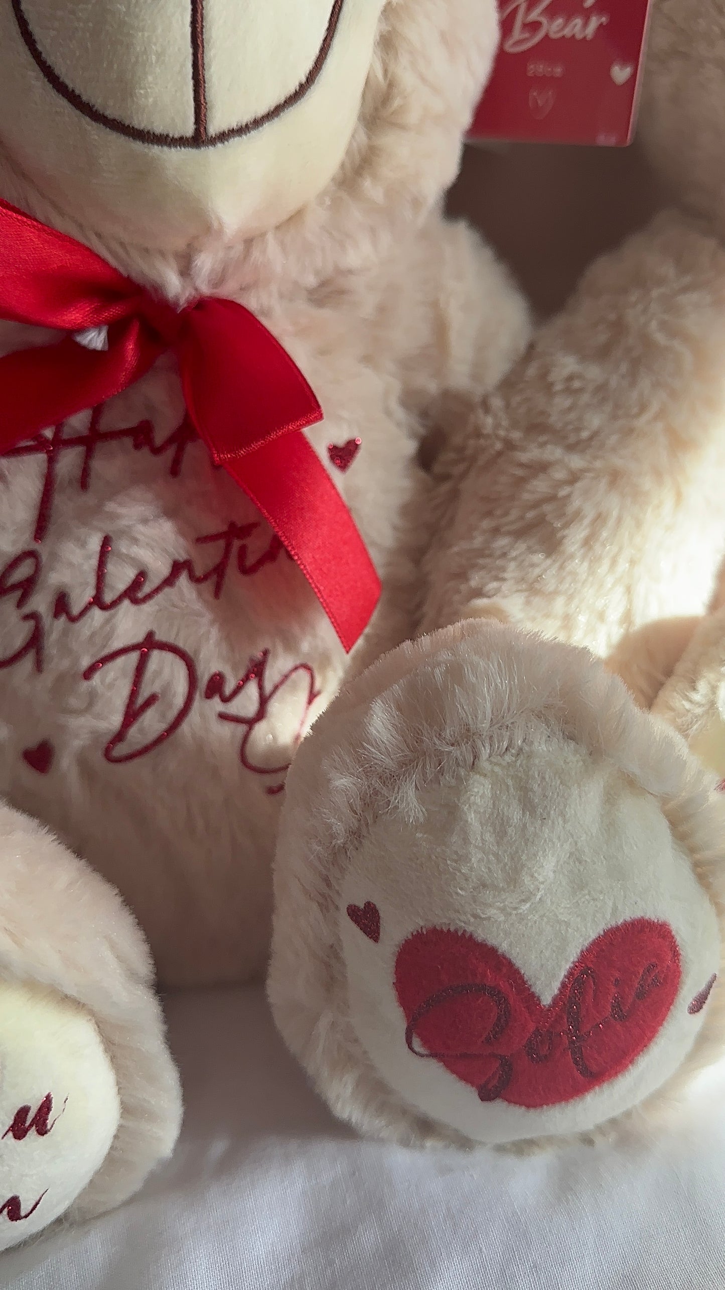 Valentine Teddy Bear